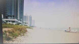 Miami Beach (FL) United States Hotels